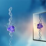 Bagaimana seharusnya penelitian 'kehidupan cermin' dibatasi? Perdebatan semakin memanas