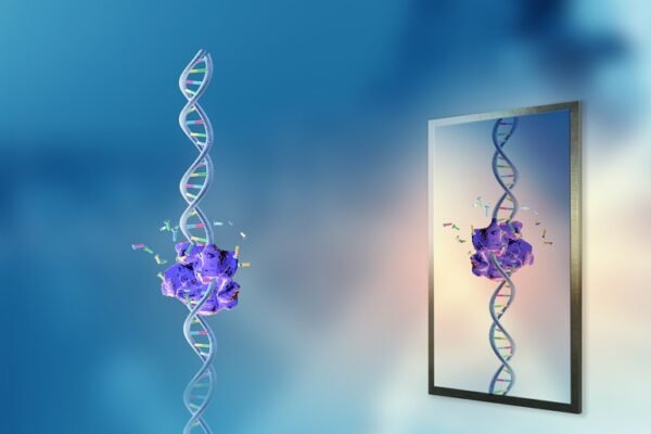 Bagaimana seharusnya penelitian 'kehidupan cermin' dibatasi? Perdebatan semakin memanas