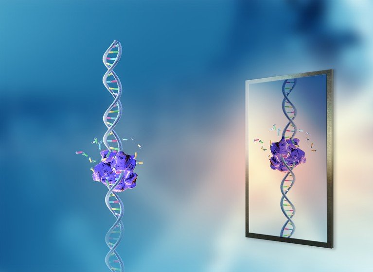 Bagaimana seharusnya penelitian 'kehidupan cermin' dibatasi? Perdebatan semakin memanas