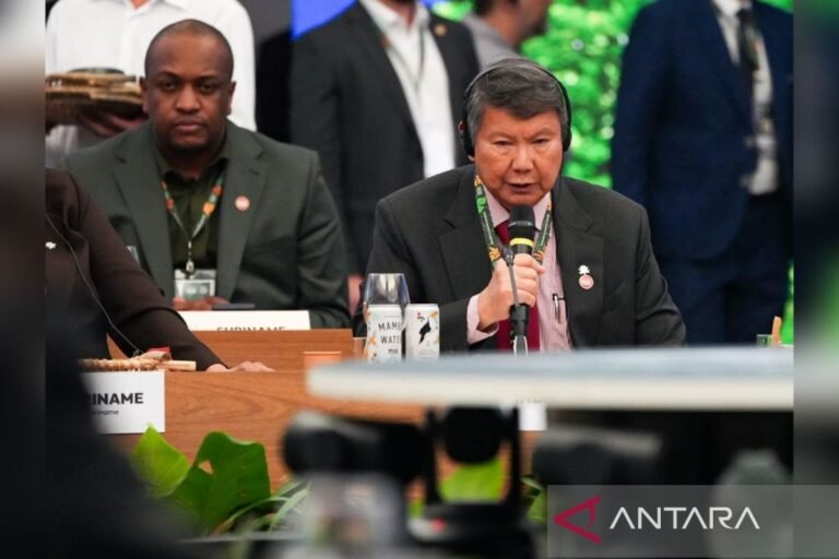 COP30: Indonesia menjanjikan aksi iklim yang lebih kuat pada KTT para pemimpin