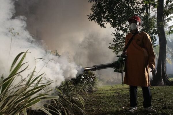 Indonesia mengambil tindakan tegas dan perintis untuk memperkuat pengawasan kolaboratif multisumber untuk demam berdarah