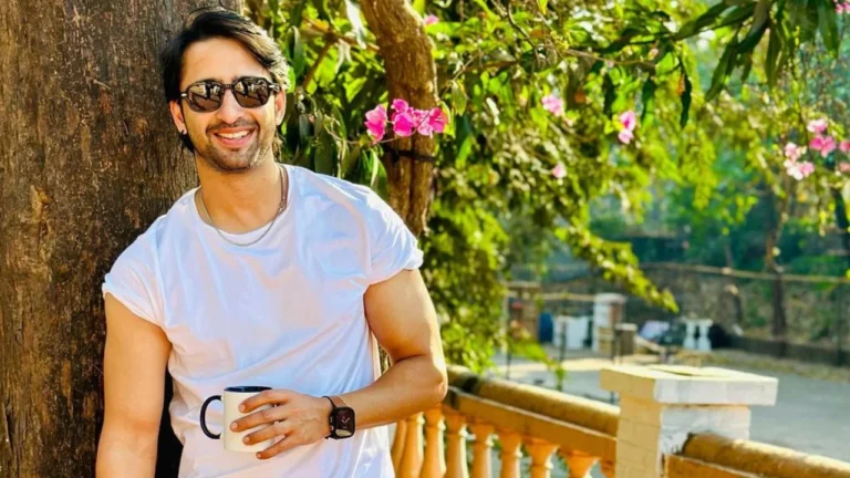 Kekayaan bersih 'Shah Rukh Khan dari Indonesia' Shaheer Sheikh akan membuat Anda tercengang