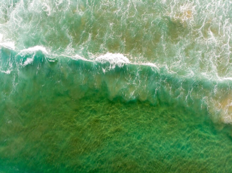 Memajukan komunikasi sains untuk kesehatan planet di Indonesia