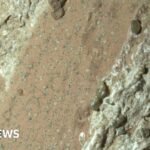 Penjelajah Nasa temukan bebatuan di Mars dengan potensi tanda-tanda kehidupan masa lalu