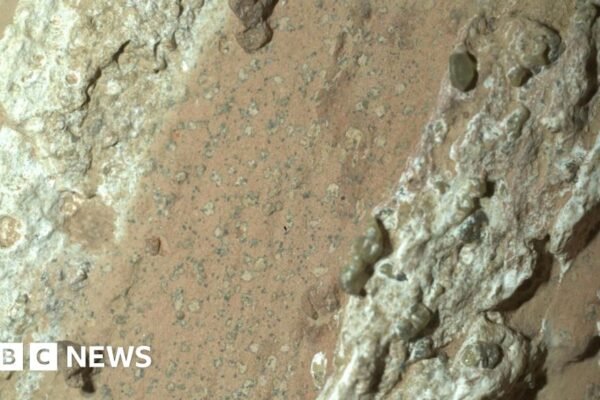 Penjelajah Nasa temukan bebatuan di Mars dengan potensi tanda-tanda kehidupan masa lalu