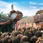 Diperbarui: Wasco Greenergy mendorong ekspansi regional meskipun ditutup di bawah harga IPO