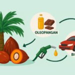 Fakta Terbaru 2025 Menunjukkan Kelapa Sawit Ramah Lingkungan Dan Efisien