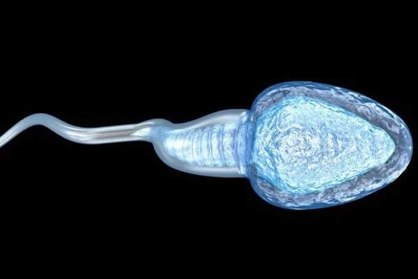 Pilihan gaya hidup dan ketidakseimbangan hormon dapat memengaruhi kesehatan reproduksi pria