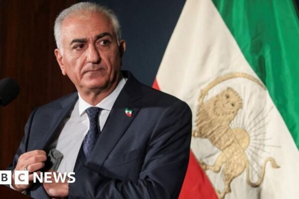 Pangeran mahkota yang diasingkan mendesak dunia untuk membantu para demonstran menggulingkan pemerintah Iran.