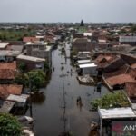 Jalan Indonesia menuju 2030: Membangun menuju surga iklim