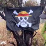 One Piece: Bagaimana sebuah tengkorak kartun menjadi simbol perlawanan di Indonesia