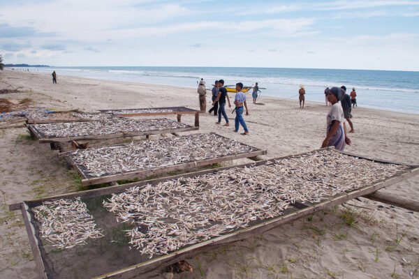 Apakah perubahan iklim mendorong nelayan Indonesia ke arah kejahatan?