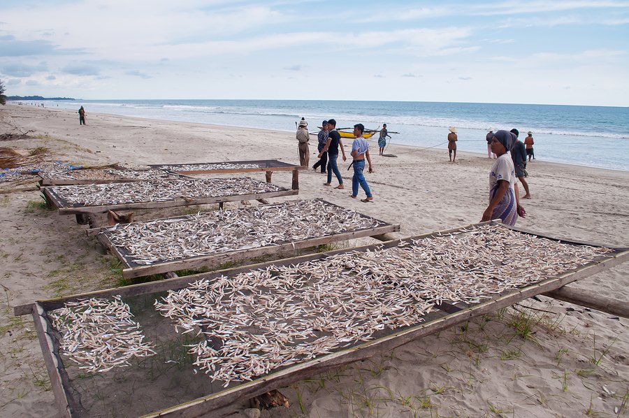Apakah perubahan iklim mendorong nelayan Indonesia ke arah kejahatan?