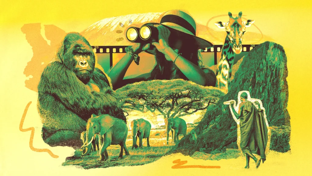 Bagaimana Gorila Menyembuhkan Hatinya yang Hancur di Hollywood