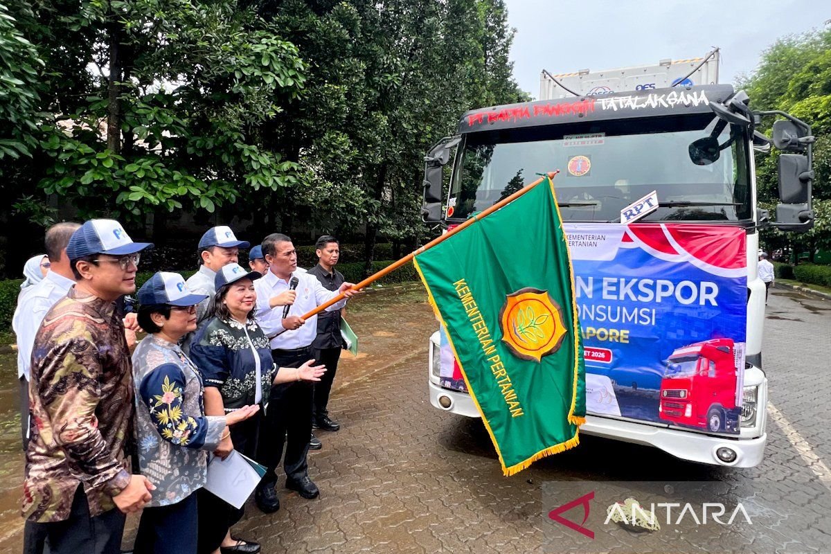 Indonesia mengekspor 545 ton unggas ke Singapura, Jepang, dan Timor Leste.