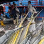 Kebijakan Perikanan Baru Indonesia Menargetkan Keberlanjutan dan Pertumbuhan Ekonomi, Kata Pejabat