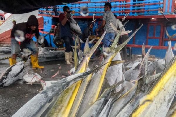 Kebijakan Perikanan Baru Indonesia Menargetkan Keberlanjutan dan Pertumbuhan Ekonomi, Kata Pejabat