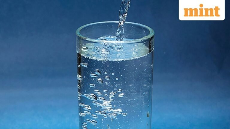 Pemerintah akan mengevaluasi teknologi untuk mengatasi kontaminasi air di India